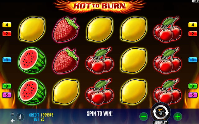 Hot to Burn Slot