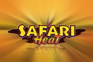 Safari Heat